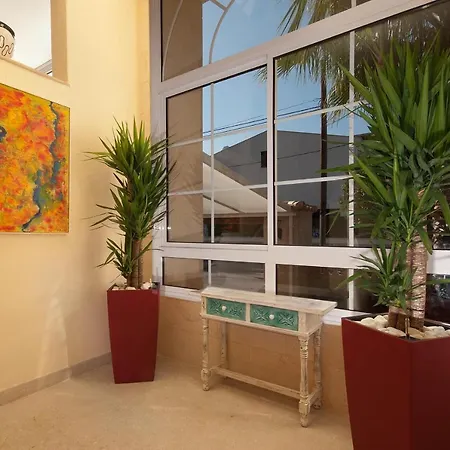 Apartment Pinos Altos 16 Cala San Vicente (Mallorca)